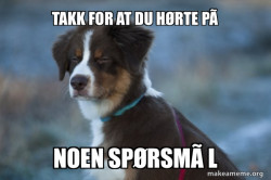 Unsure Dog