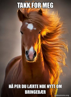 Ridiculously photogenic horse