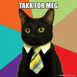 Business Cat