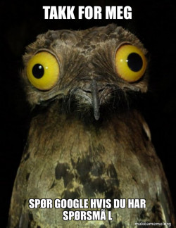 Weird Stuff I do Potoo