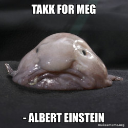 Blobfish