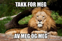 Contemplative Lion