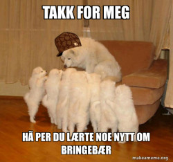 Scumbag Storytelling Dog