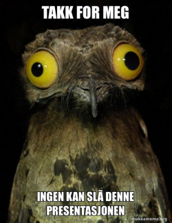 Weird Stuff I do Potoo