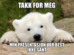 Popular Opinion Bear
