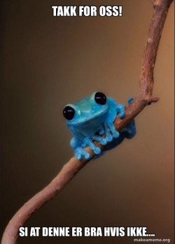 Small Fact Frog