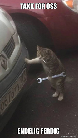 Mechanic Cat