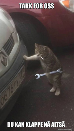Mechanic Cat