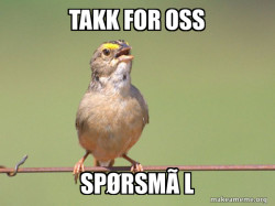 Common Opinion Sparrow