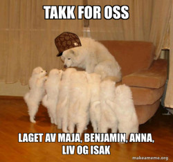 Scumbag Storytelling Dog