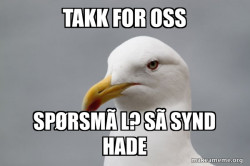 Stuff That Didn't Happen Seagull