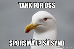 Stuff That Didn't Happen Seagull