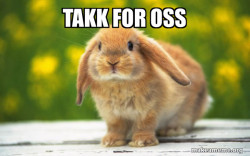 Regretful Rabbit