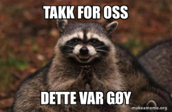 Evil Plotting Raccoon