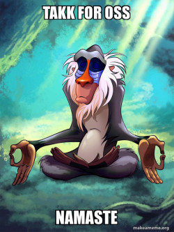 Rafiki Meditating - Lion King