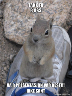Standover Squirrel