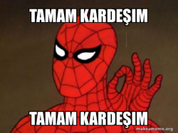 Spiderman - Care factor Zero