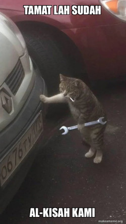 Mechanic Cat