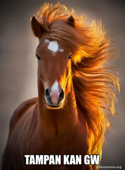 Ridiculously photogenic horse
