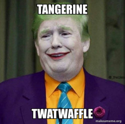 Donald Trump - The Joker