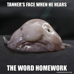 Blobfish