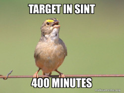 Common Opinion Sparrow