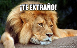 Confession Lion