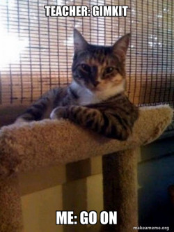 The Most Interesting Cat in the World