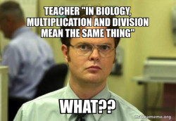 Schrute Facts (Dwight Schrute from The Office)