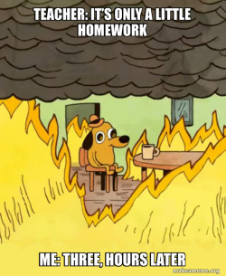 Homework