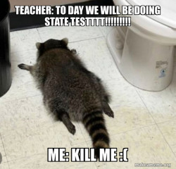 Drunk Raccoon