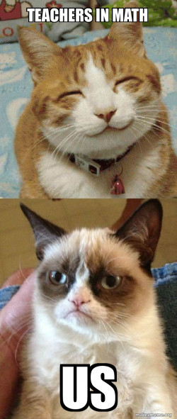 Grumpy Cat vs Happy Cat