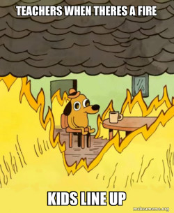 This Is Fine