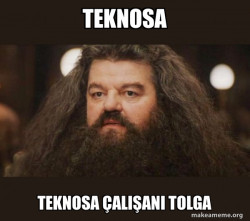 Hagrid - I should not have said that