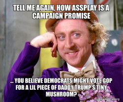 Willy Wonka Sarcasm Meme