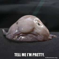 Blobfish