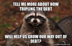 Evil Plotting Raccoon