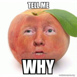 Impeached Donald Trump