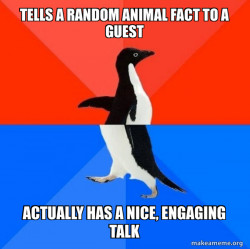 Socially Awesome Awkward Penguin