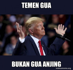 Trump Impeached