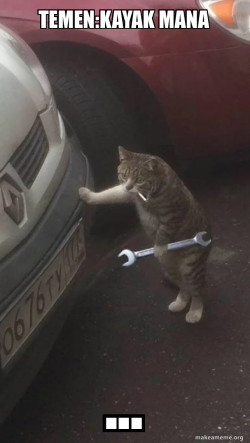 Mechanic Cat