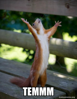 Happy Squirrel