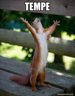 Happy Squirrel