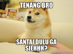 Doge