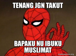 Spiderman - Care factor Zero