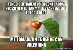 Kermit Drinking Tea