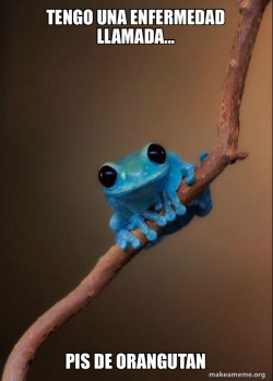 Small Fact Frog