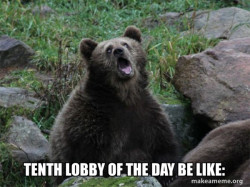 Sarcastic Bear