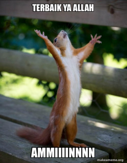 Happy Squirrel