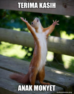 Happy Squirrel